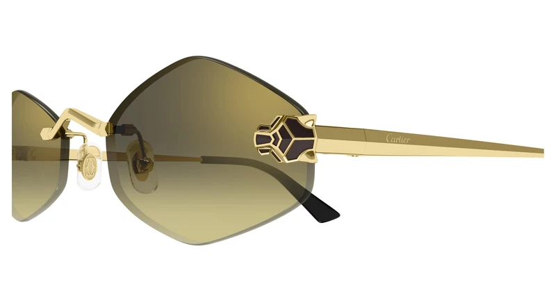 Cartier CT0433S 008 55