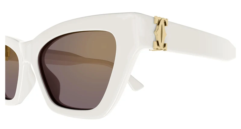 Cartier CT0437S 004 53