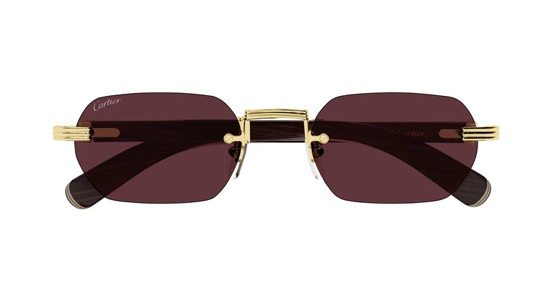 Cartier CT0362S 008 54