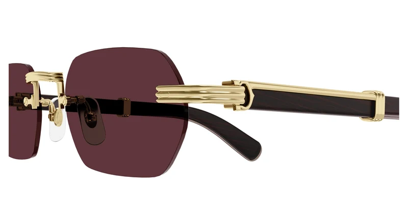Cartier CT0362S 008 54