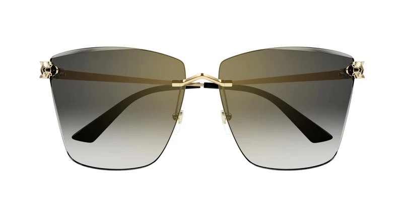 Cartier CT0397S 001 61