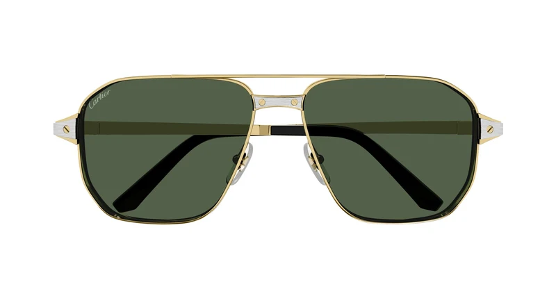 Cartier CT0424S 002 59