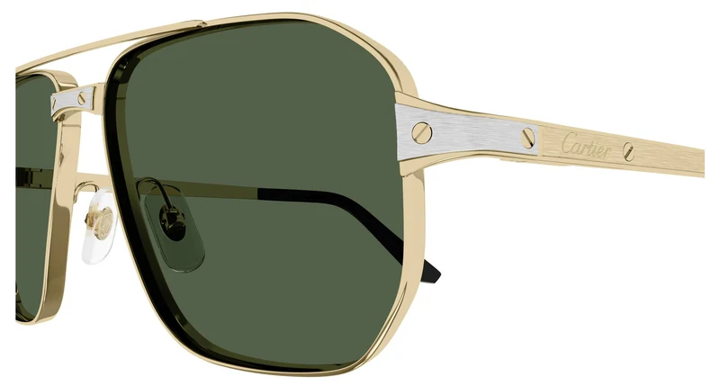 Cartier CT0424S 002 59