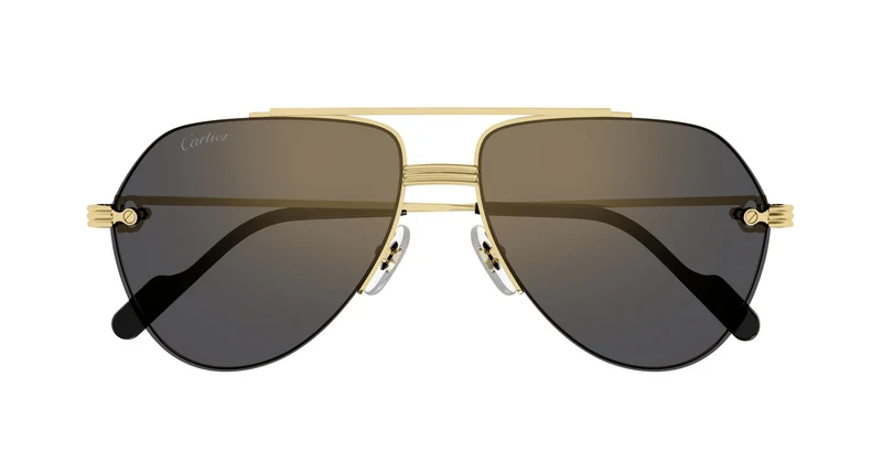 Cartier CT0427S 001 58