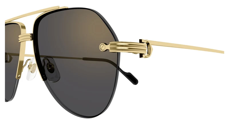 Cartier CT0427S 001 58