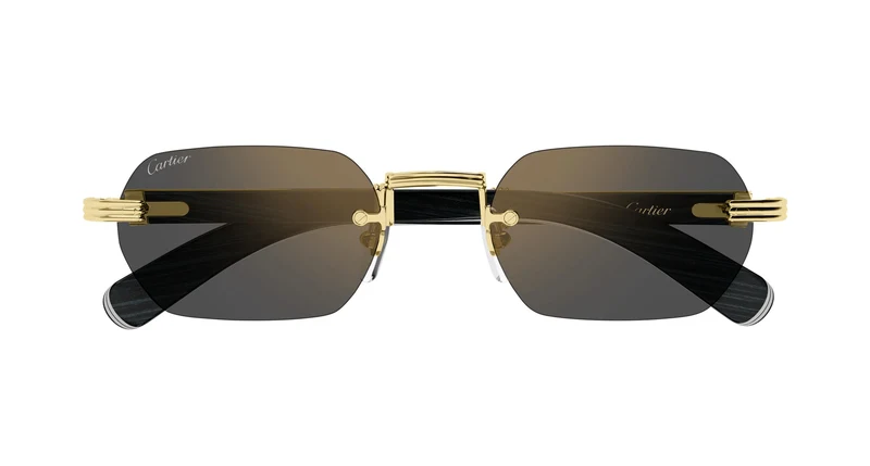 Cartier CT0362S 007 54
