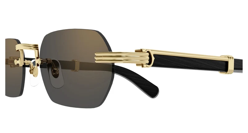 Cartier CT0362S 007 54