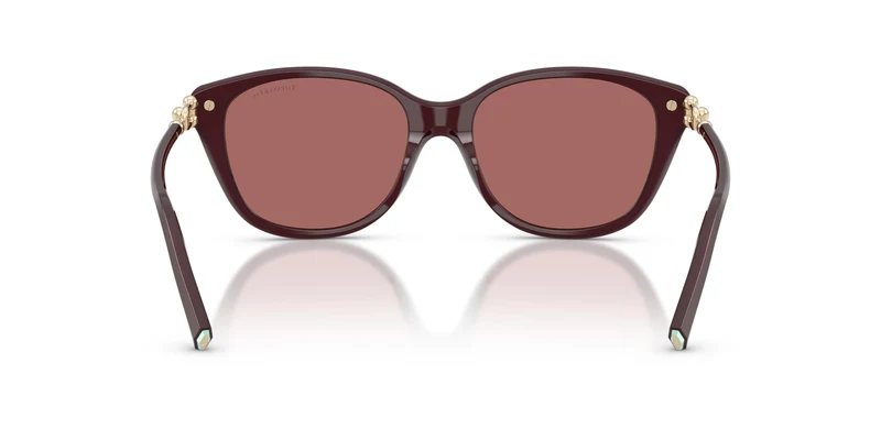 Tiffany TF4267 847069 54