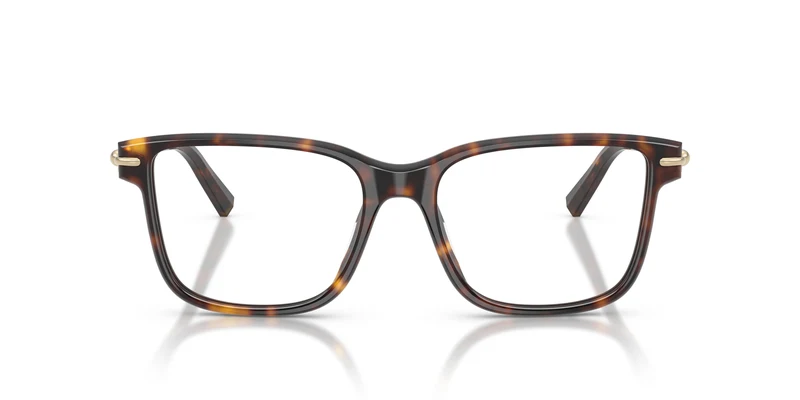 Tiffany TF2299U 8015 55