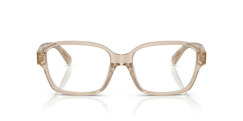 Tiffany TF2303U 8445 55
