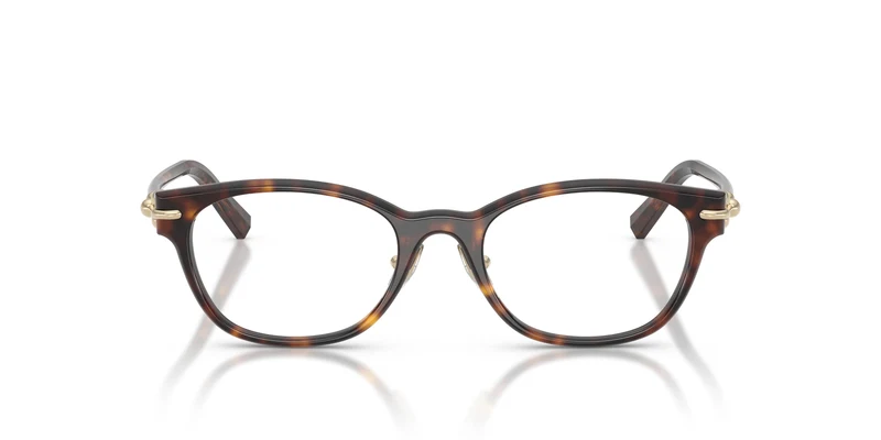 Tiffany TF2305D 8015 49