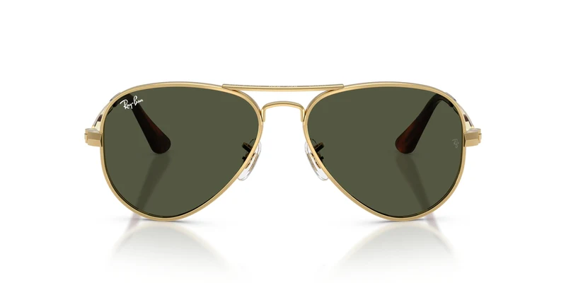Ray-Ban RB3925 AVIATOR MAX 001/31 58