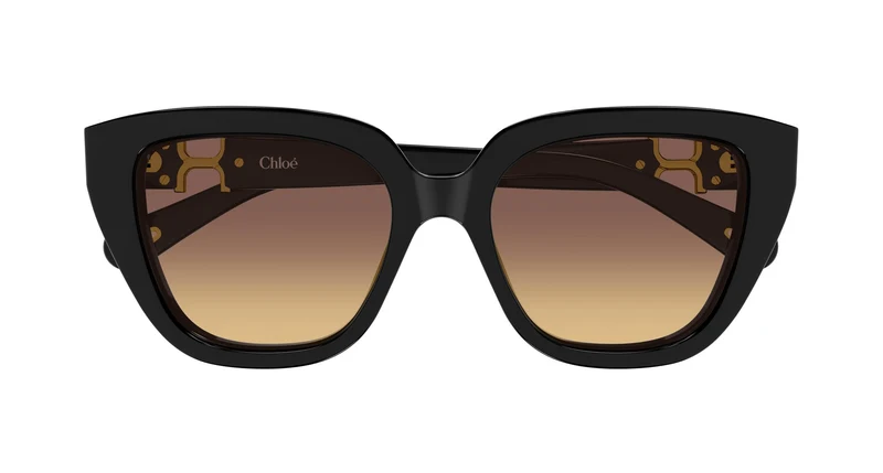 Chloé CH0410S 001 53
