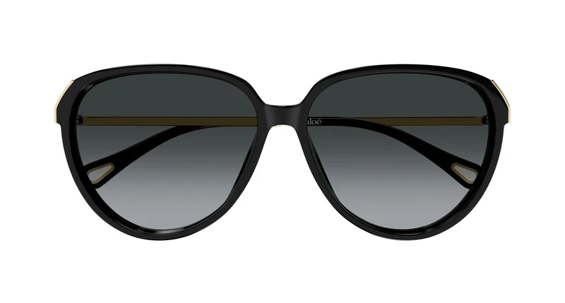Chloé CH0406S 001 59