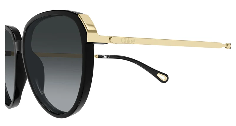 Chloé CH0406S 001 59