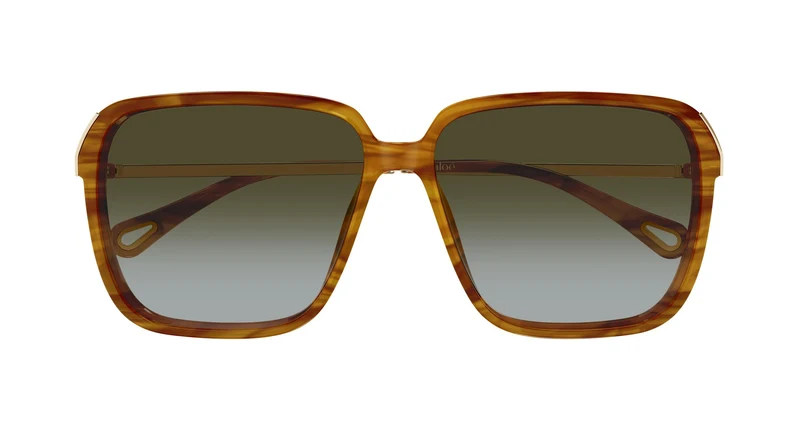 Chloé CH0405S 003 59
