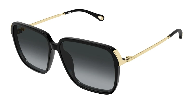 Chloé CH0405S 001 59