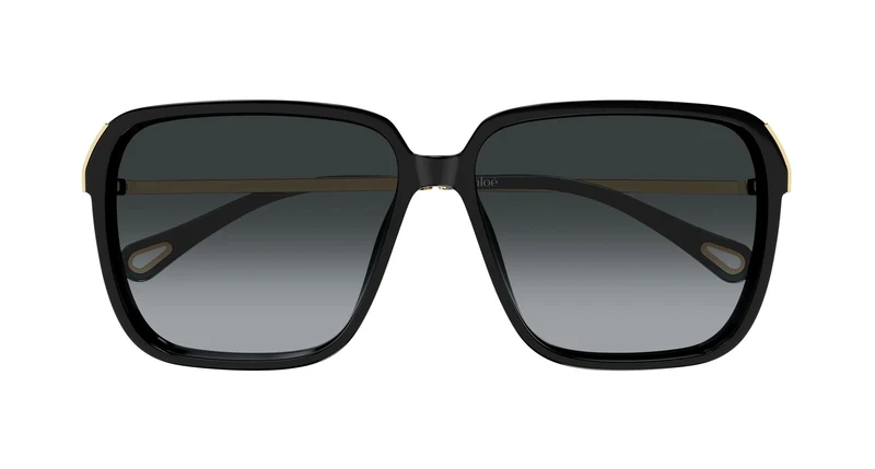 Chloé CH0405S 001 59