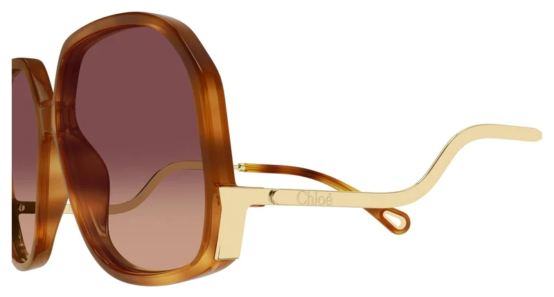 Chloé CH0404S 001 60