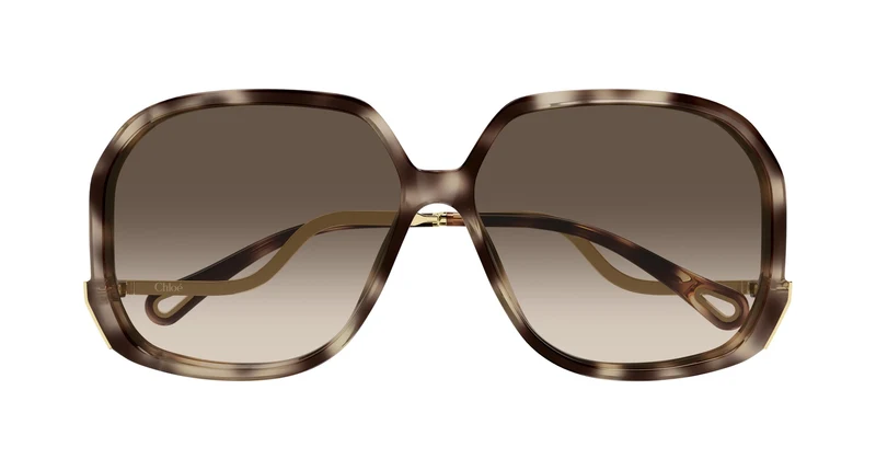 Chloé CH0404S 003 60