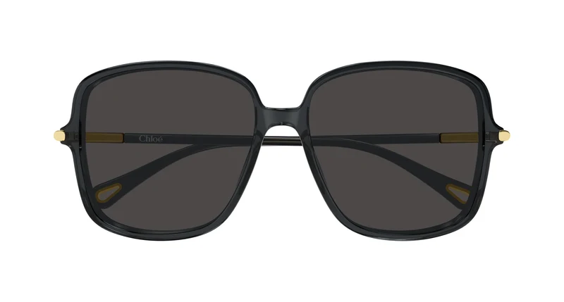 Chloé CH0396S 001 57