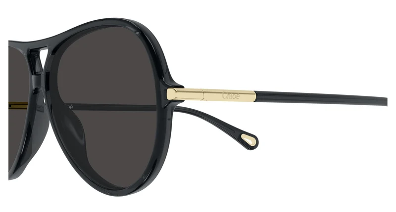 Chloé CH0395S 001 59