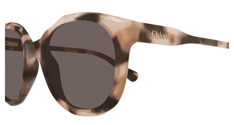 Chloé CC0019S 006 47