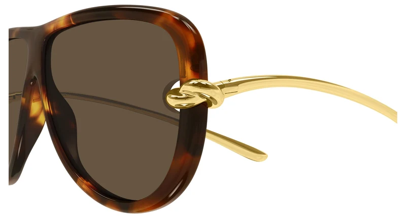 Bottega Veneta BV1513S 002 61