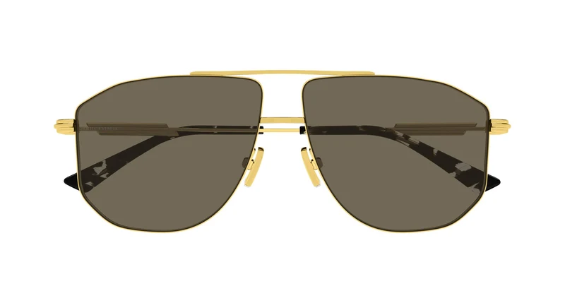 Bottega Veneta BV1509S 003 59
