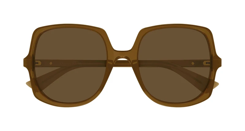 Bottega Veneta BV1498S 003 55