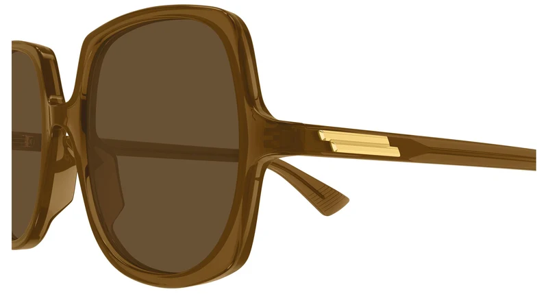 Bottega Veneta BV1498S 003 55