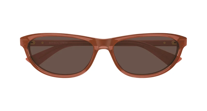 Bottega Veneta BV1497S 004 58