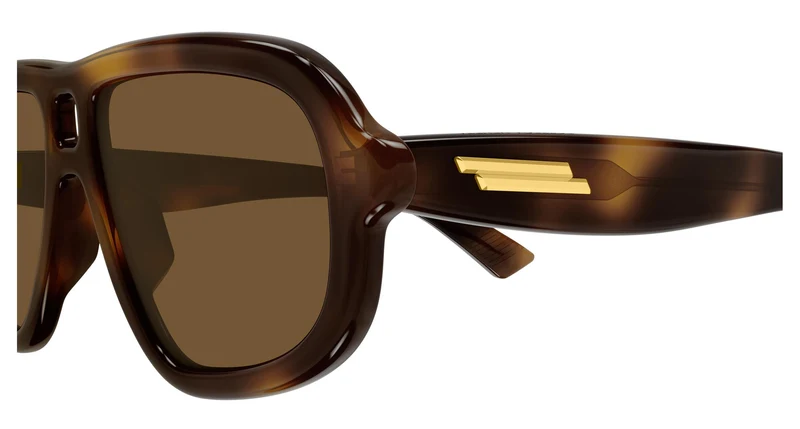 Bottega Veneta BV1494S 002 53