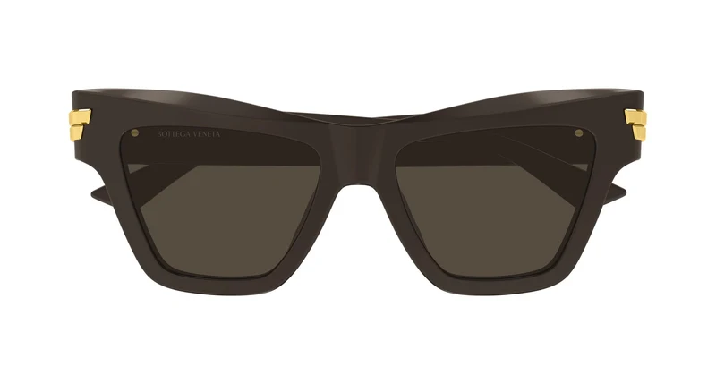 Bottega Veneta BV1489S 004 53