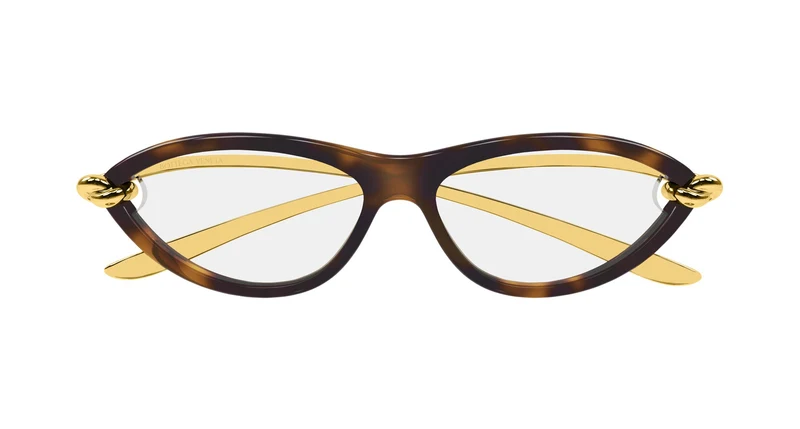 Bottega Veneta BV1390S 008 56