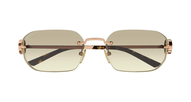 Gucci GG2228S 004 57