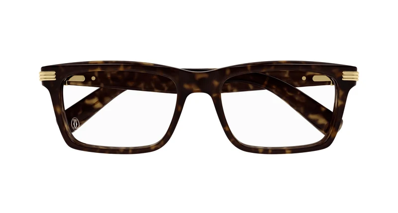 Cartier CT0420O 002 53
