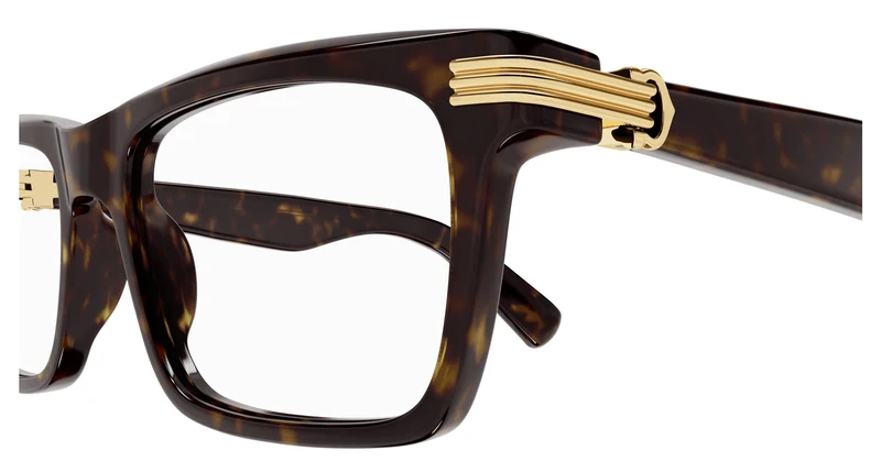 Cartier CT0420O 002 53