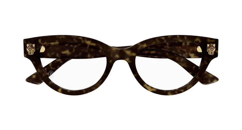 Cartier CT0372O 002 52