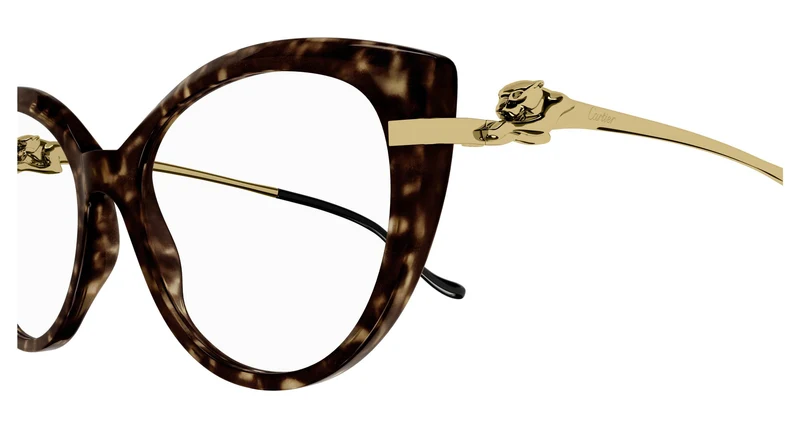 Cartier CT0283O 002 54