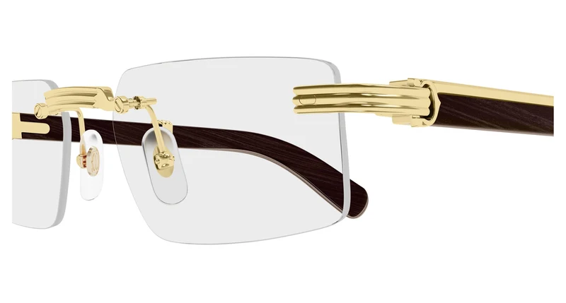 Cartier CT0485O 008 55