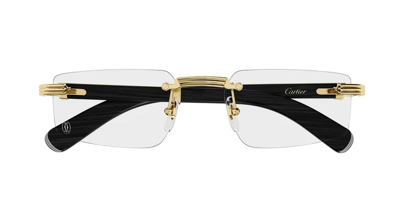 Cartier CT0485O 007 55