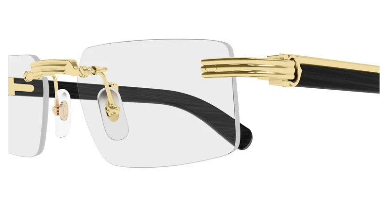 Cartier CT0485O 007 55
