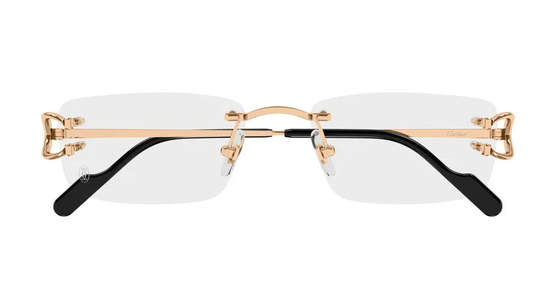 Cartier CT0344O 005 56