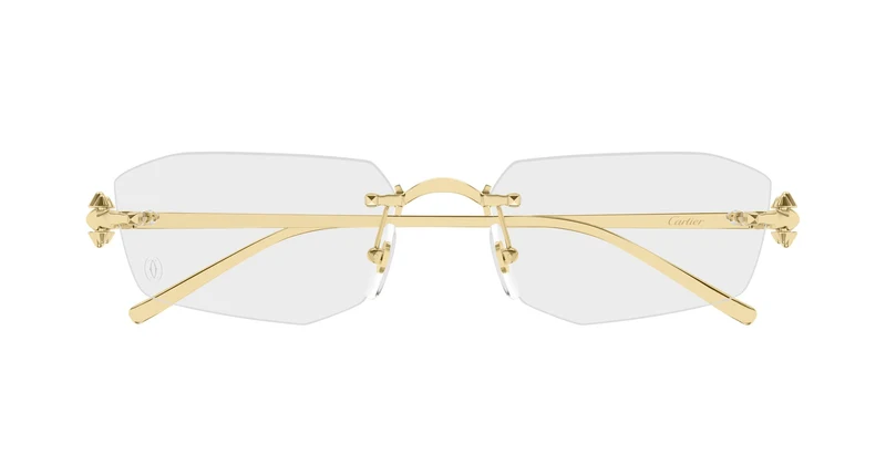 Cartier CT0683O 001 56