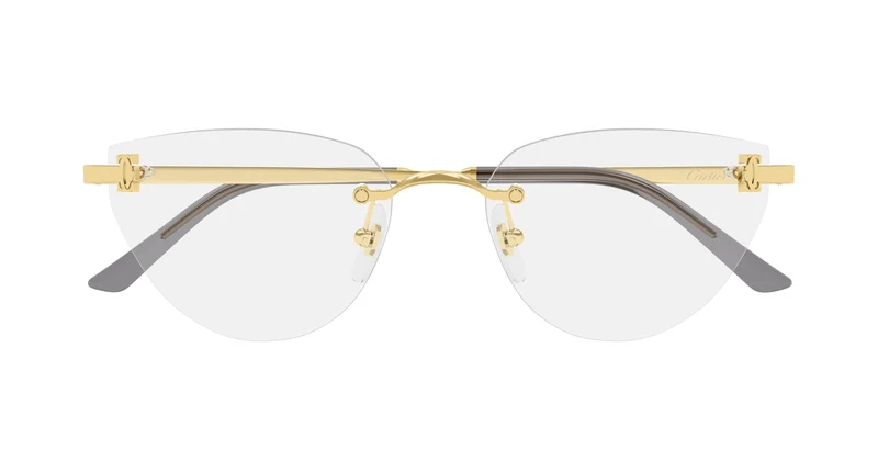 Cartier CT0673O 001 54