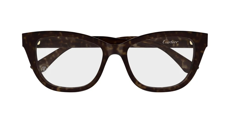 Cartier CT0669O 002 53