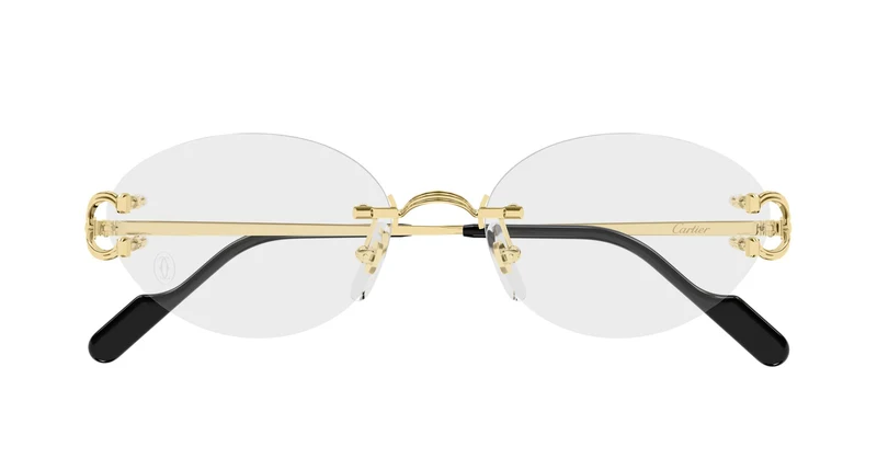 Cartier CT0665OJ 001 53