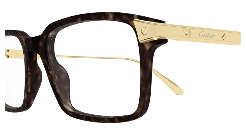 Cartier CT0653O 004 53