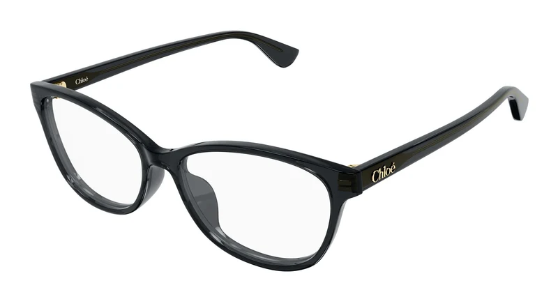 Chloé CH0394OL 006 57